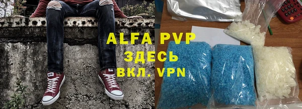 крисы Абаза