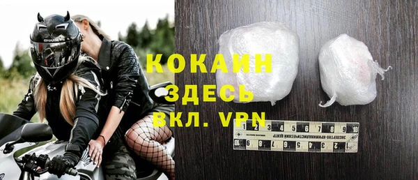 крисы Абаза